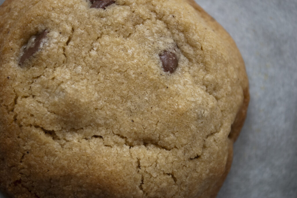 Eric’s Perfect Chocolate Chip Cookie